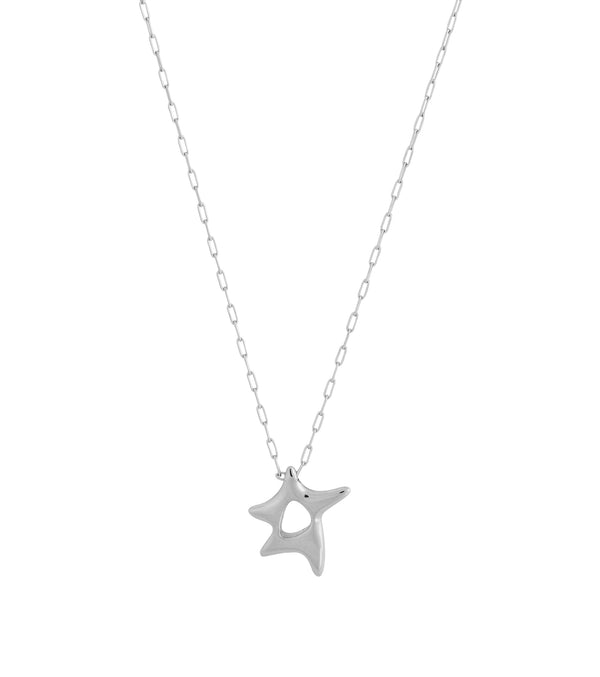 Aster Necklace S Steel