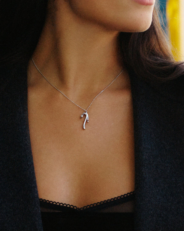 Lace Necklace Steel