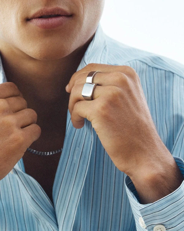 Ellis Signet Ring Steel