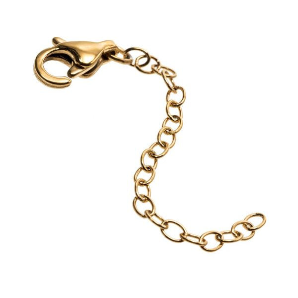 Extended Chain 5 cm Gold EdbladNZ